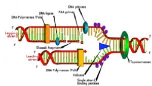 BỆNH VIỆN ĐA KHOA SƠN TÂY ĐƯỢC SỞ Y TẾ PHÊ DUYỆT THÊM 14 DANH MỤC KỸ THUẬT CAO NHƯ XÉT NGHIỆM HỖ TRỢ CHẨN ĐOÁN MỘT SỐ LOẠI UNG THƯ, CHẨN ĐOÁN COVID-19, ĐO TẢI LƯỢNG VIRUS VIÊM GAN B, VIÊM GAN C,…